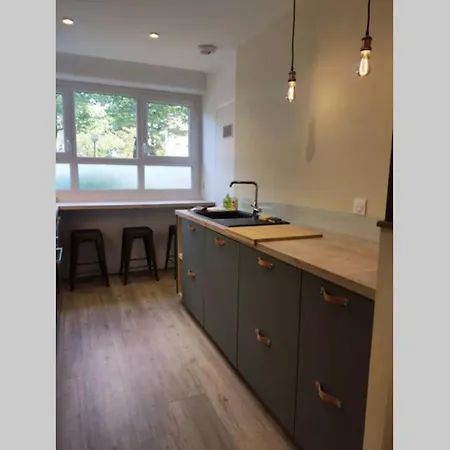 公寓 3 Chambres, 3 Salles D'eau 圣埃尔布兰